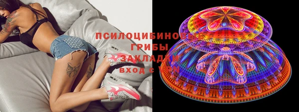 шишки Абинск