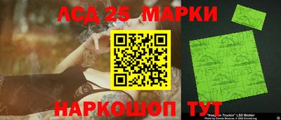 Альфа ПВП Беслан