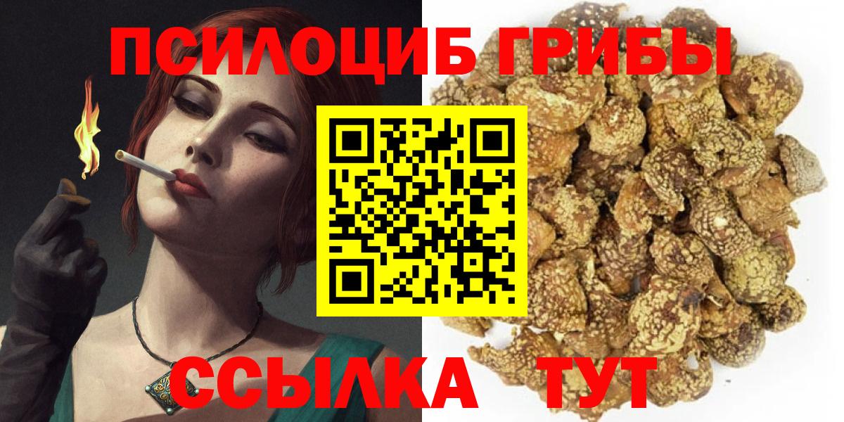 Псилоцибиновые грибы ЛСД Камышлов
