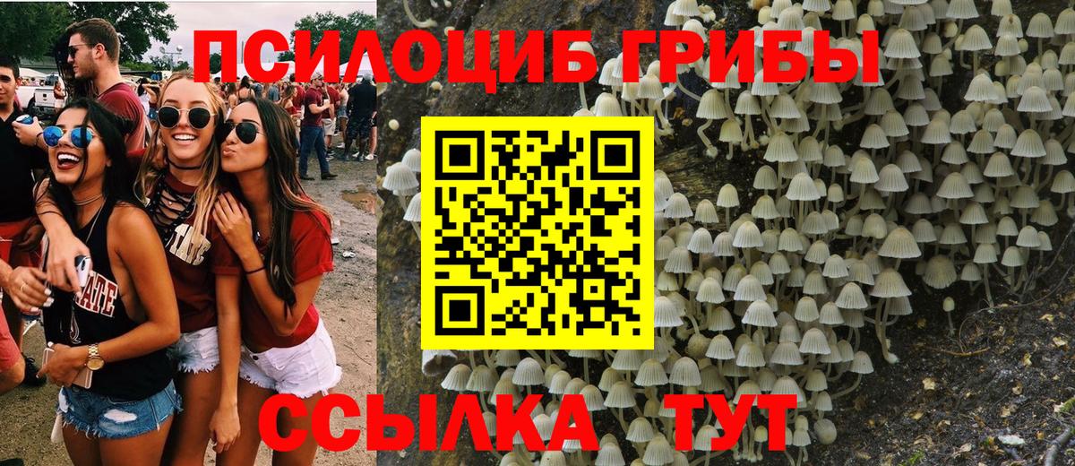 Камышлов  Псилоцибиновые грибы ЛСД  Галлюциногенные грибы прущие грибы  Вход с VPN 